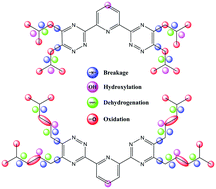 Graphical abstract: Radiolysis of alkyl substituted tridentate 2,6-bis(1,2,4-triazine-3-yl)pyridines: an experimental study with DFT validation