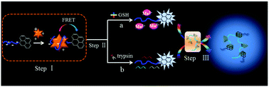 Graphical abstract: Poly(β-cyclodextrin) enhanced fluorescence coupled with specific reaction for amplified detection of GSH and trypsin activity