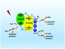 Graphical abstract: Enhanced photocatalytic performance of bismuth vanadate assisted by polyoxometalates and phthalocyanine