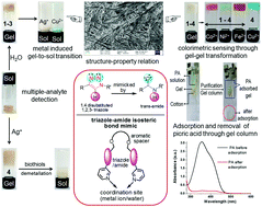 Graphical abstract: Triazole-amide isosteric pyridine-based supramolecular gelators in metal ion and biothiol sensing with excellent performance in adsorption of heavy metal ions and picric acid from water