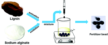 Graphical abstract: A biodegradable Fe-fertilizer with high mechanical property and sustainable release for potential agriculture and horticulture applications