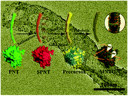Graphical abstract: Confined formation of monoclinic Na4Ti5O12 nanoparticles embedded into porous CNTs: towards enhanced electrochemical performances for sodium ion batteries
