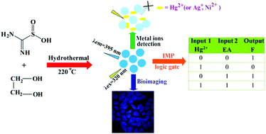 Graphical abstract: S,N-Co-doped carbon nanoparticles with high quantum yield for metal ion detection, IMP logic gates and bioimaging applications