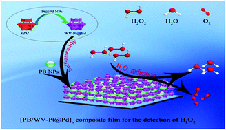 Graphical abstract: Enzymeless electrochemical determination of hydrogen peroxide at a heteropolyanion-based composite film electrode