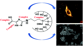 Graphical abstract: Functionalized nanoparticles as adjuvant to increase the cytotoxicity of metallodrugs toward tumor cells