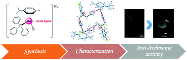 Graphical abstract: Antiparasitic activity and ultrastructural alterations provoked by organoruthenium complexes against Leishmania amazonensis