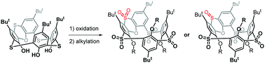 Graphical abstract: Chemoselective oxidation of phenoxathiin-based thiacalix[4]arene and the stereoselective alkylation of products