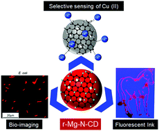 Graphical abstract: Self-doped nontoxic red-emitting Mg–N-embedded carbon dots for imaging, Cu(ii) sensing and fluorescent ink
