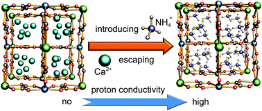 Graphical abstract: Cations mediating proton conductivity in an oxalate based microporous coordination polymer