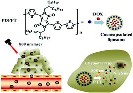 Graphical abstract: Rapid release from near-infrared polymer loaded liposomes for photothermal and chemo-combined therapy