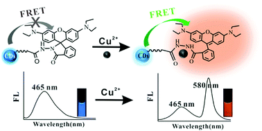 Graphical abstract: A carbon-dot-based dual-emission probe for ultrasensitive visual detection of copper ions