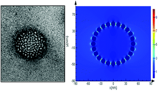 Graphical abstract: Hybrid AgNPs/MEH-PPV nanocomplexes with enhanced optical absorption and photoluminescence properties