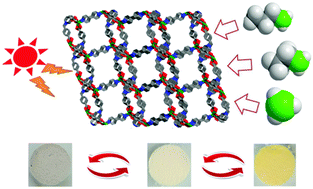 Graphical abstract: Bifunctional photo- and vapochromic behaviors of a novel porous zwitterionic metal–organic framework