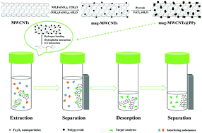 Graphical abstract: Polypyrrole-modified magnetic multi-walled carbon nanotube-based magnetic solid-phase extraction combined with dispersive liquid–liquid microextraction followed by UHPLC-MS/MS for the analysis of sulfonamides in environmental water samples