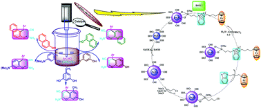 Graphical abstract: Synthesis and characterization of a novel Fe3O4@SiO2–BenzIm-Fc[Cl]/BiOCl nano-composite and its efficient catalytic activity in the ultrasound-assisted synthesis of diverse chromene analogs