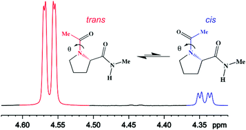 Graphical abstract: Conformational preferences of N-acetyl-N′-methylprolineamide in different media: a 1H NMR and theoretical investigation