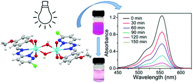 Graphical abstract: Dihydroxo-bridged diuranyl(vi) complexes with 2-((2-(6-chloropyridazin-3-yl)hydrazono)methyl)-4-R-phenols: structural insights and visible light driven photocatalytic activities