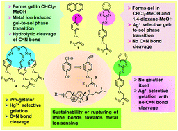 Graphical abstract: 4-Hydroxybenzaldehyde derived Schiff base gelators: case of the sustainability or rupturing of imine bonds towards the selective sensing of Ag+ and Hg2+ ions via sol–gel methodology