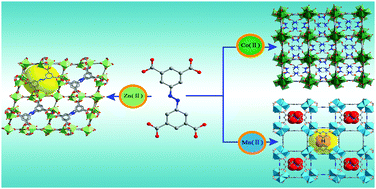 Graphical abstract: Assembly of metal–organic frameworks based on 4-connected 3,3′,5,5′-azobenzenetetracarboxylic acid: structures, magnetic properties, and sensing of Fe3+ ions