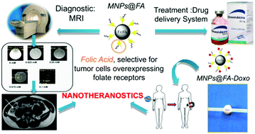 Graphical abstract: Stimuli-responsive nanotheranostics intended for oncological diseases: in vitro evaluation of their target, diagnostic and drug release capabilities