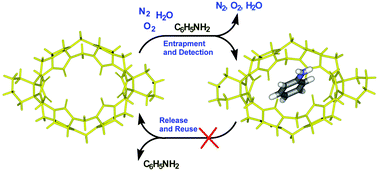 Graphical abstract: Encapsulation and removal of aniline by di-cyclohexanocucurbit[6]uril