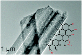 Graphical abstract: Porous boron nitride nanoribbons with large width as superior adsorbents for rapid removal of cadmium and copper ions from water