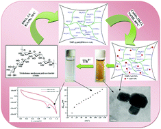 Graphical abstract: In situ preparation of Tricholoma mushroom polysaccharide-g-poly(N,N-dimethyl acrylamide-co-acrylic acid)–CuO composite nanoparticles for highly sensitive and selective sensing of Th4+ in aqueous medium