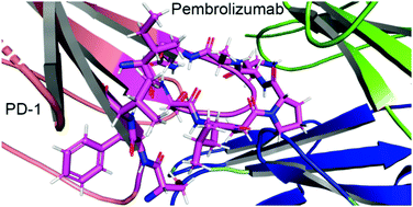 Graphical abstract: A quantum biochemistry approach to investigate checkpoint inhibitor drugs for cancer