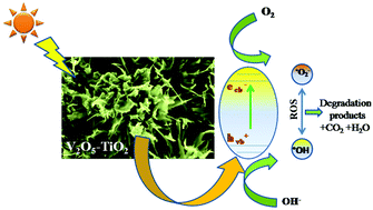 Graphical abstract: Enhanced photocatalytic performance of V2O5–TiO2 nanocomposites synthesized by mechanical alloying with morphological hierarchy