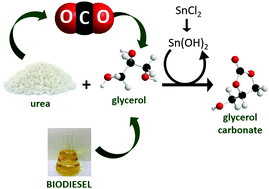 Graphical abstract: A selective synthesis of glycerol carbonate from glycerol and urea over Sn(OH)2: a solid and recyclable in situ generated catalyst