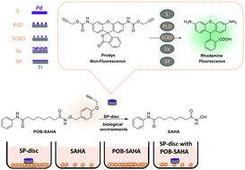 Graphical abstract: Design and manufacture of functional catalyst-carrier structures for the bioorthogonal activation of anticancer agents