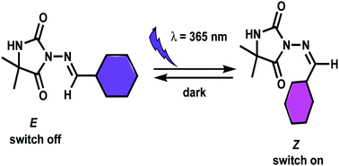 Graphical abstract: Photochromic and molecular switching behaviour of new Schiff bases containing hydantoin rings: synthesis, characterization and crystal structures