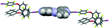 Graphical abstract: Induction of chirality in 4,4′-azopyridine by halogen-bonding interaction with optically active ditopic donors