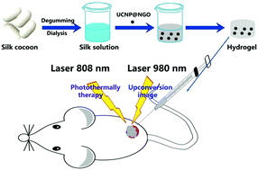 Graphical abstract: An injectable silk fibroin nanofiber hydrogel hybrid system for tumor upconversion luminescence imaging and photothermal therapy