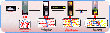 Graphical abstract: Supramolecular phenoxy-alkyl maleate-based hydrogels and their enzyme/pH-responsive curcumin release