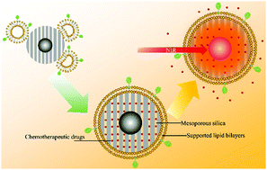 Graphical abstract: A multifunctional biomimetic hybrid nanocarrier for the controlled delivery of chemotherapy drugs by near-infrared light