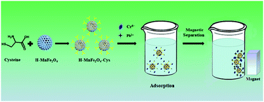 Graphical abstract: Functionalized hollow MnFe2O4 nanospheres: design, applications and mechanism for efficient adsorption of heavy metal ions