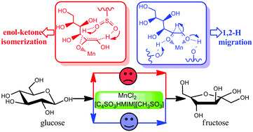 Graphical abstract: Theoretical investigation on the mechanism of glucose-to-fructose isomerization synergistically catalyzed by MnCl2 and [C4SO3HMIM][CH3SO3] in [BMIM]Cl