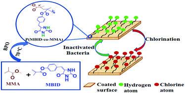 Graphical abstract: Development of new hydantoin-based biocidal polymers with improved rechargeability and anti-microbial activity