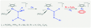 Graphical abstract: Pentamethylcyclopentadienyl half-sandwich hydrazine complexes of ruthenium: preparation and reactivity