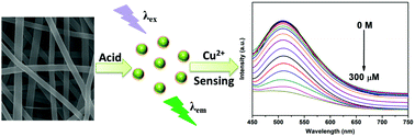 Graphical abstract: Nitrogen-doped carbon dots derived from electrospun carbon nanofibers for Cu(ii) ion sensing
