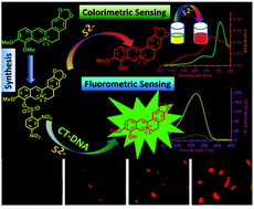 Graphical abstract: Superb-selective chemodosimetric signaling of sulfide in the absence and in the presence of CT-DNA and imaging in living cells by a plant alkaloid berberine analogue