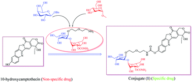 Graphical abstract: Multi-gram scale synthesis of a bleomycin (BLM) carbohydrate moiety: exploring the antitumor beneficial effect of BLM disaccharide attached to 10-hydroxycamptothecine (10-HCPT)