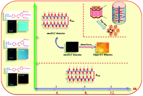 Graphical abstract: Design, synthesis and properties of hemiphasmidic luminescent liquid crystal polymers with the AIEE effect