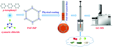 Graphical abstract: Efficient enrichment of triazole fungicides from fruit and vegetable samples by a spherical porous aromatic framework