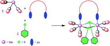 Graphical abstract: Self-assembly of manganese(i) based thiolato bridged dinuclear metallacycles: synthesis, characterization, cytotoxicity evaluation and CO-releasing studies