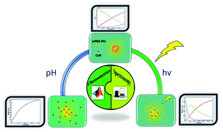 Graphical abstract: Crucial successes in drug delivery systems using multivariate chemometric approaches: challenges and opportunities