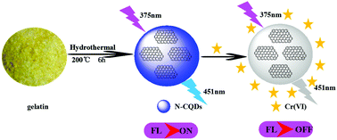 Graphical abstract: Preparation of nitrogen-doped carbon quantum dots and its application as a fluorescent probe for Cr(vi) ion detection