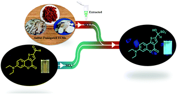 Graphical abstract: Design and synthesis of a novel colorimetric fluorescent probe for the selective detection of sulfur dioxide in SH-SY5Y neuroblastoma cells and its applications in traditional Chinese medicines