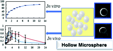Graphical abstract: Preparation and evaluation of gastro-floating hollow adhesive microspheres of carbomer/ethyl cellulose encapsulating dipyridamole